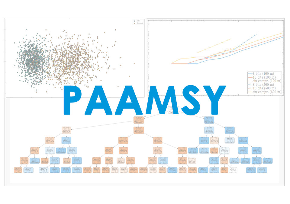 PAAMSY