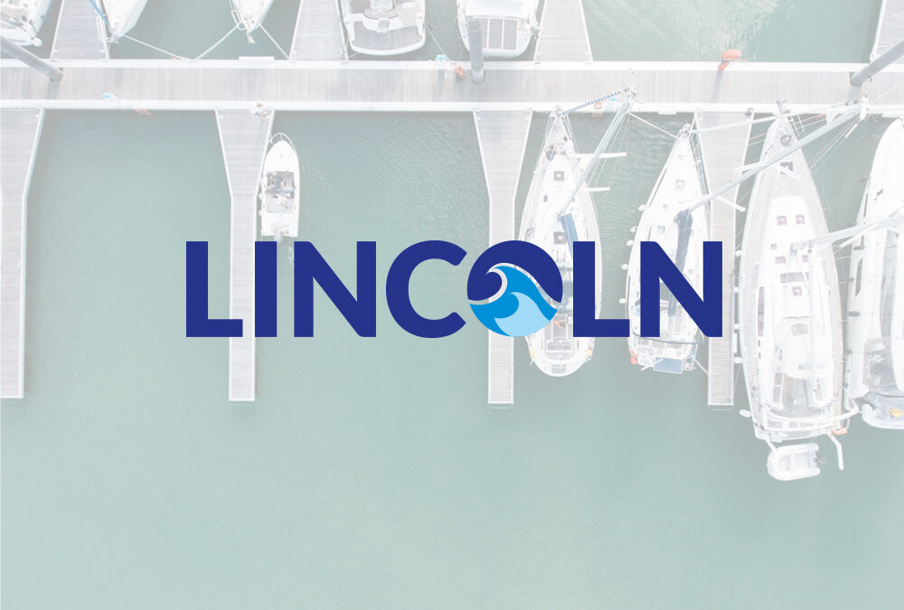 Lincosim Training: LINCOLN project