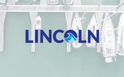 Lincosim Training: LINCOLN project
