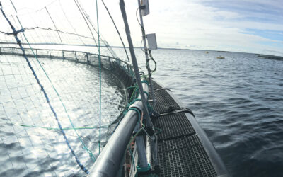The Smart Sensor for Feeding Control developed by CTN has been successfully deployed at SINTEF ACE’s fish farm in Norway