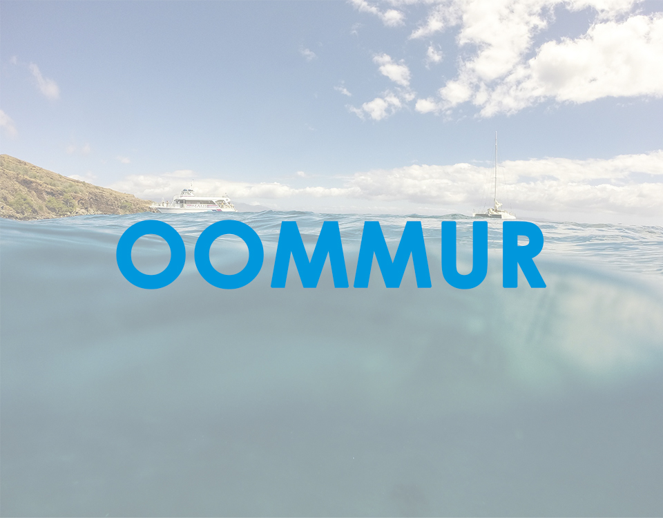 Proyecto OOMMUR