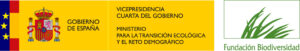 VICE+MTERD+FB_Color_ConBandera