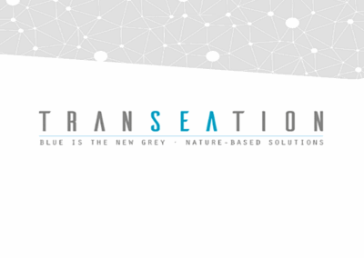 TRANSEATION
