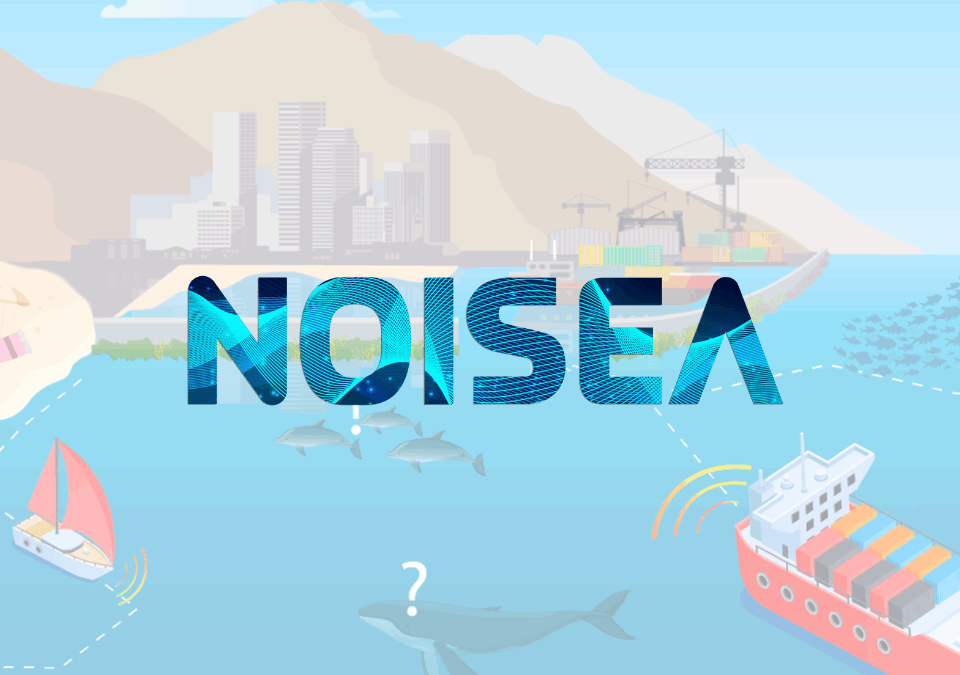 NOISEA