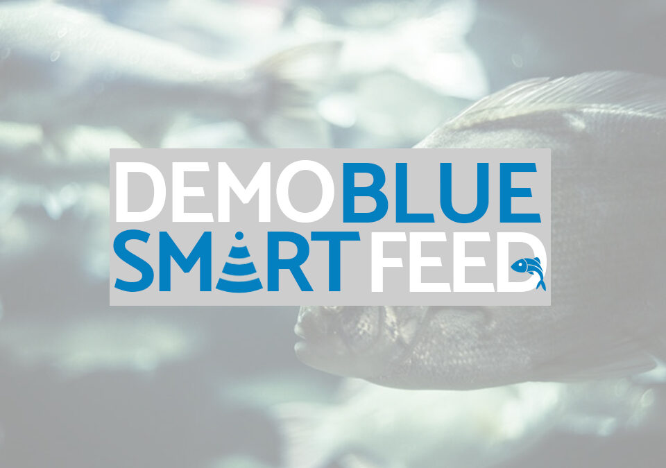 Privado: DEMO-BLUESMARTFEED