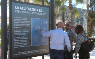 La Región de Murcia celebra el Día de la Acuicultura 2025 y consolida su liderazgo nacional en innovación, sostenibilidad y economía azul